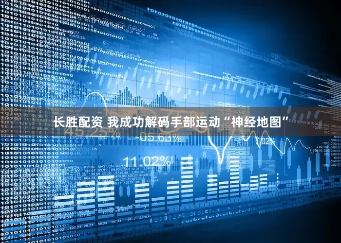 长胜配资 我成功解码手部运动“神经地图”