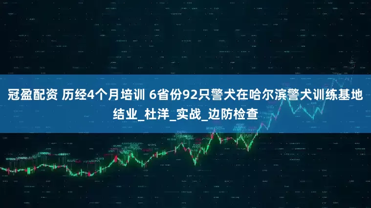 冠盈配资 历经4个月培训 6省份92只警犬在哈尔滨警犬训练基地结业_杜洋_实战_边防检查